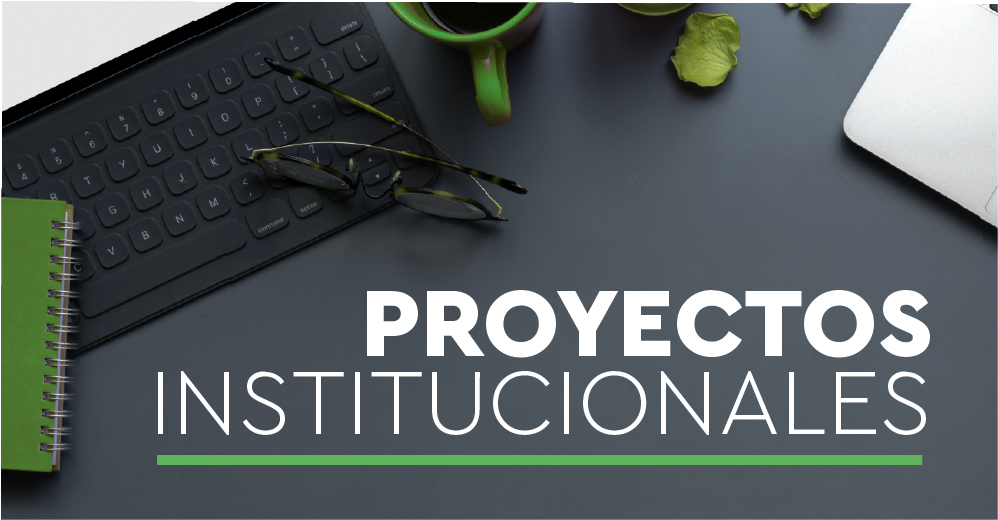 Proyectos Institucionales